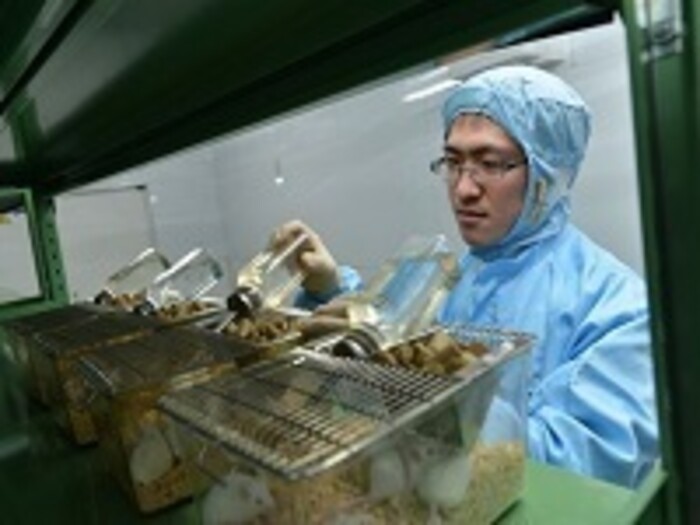 【動物試験】動物飼育や採血、解剖等を伴う試験の受託（医薬品・細菌試験可）の画像2