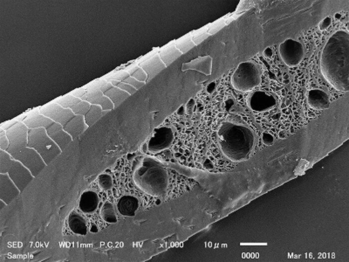 【異物・不良解析】走査電子顕微鏡（SEM-EDS）による表面形状観察・元素マッピング解析の画像2