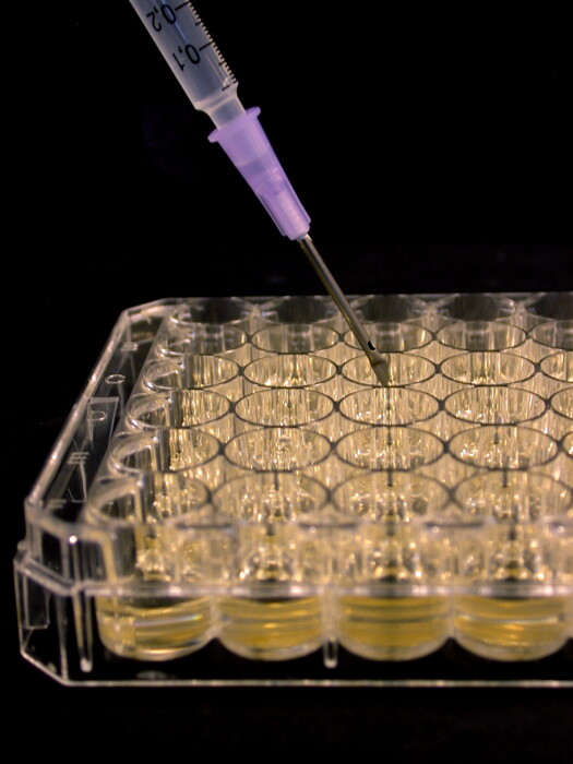 分子生物学的解析サービスの画像1