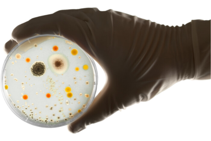 【業界最安級】抗菌試験 JIS, ISO準拠試験可能の画像1