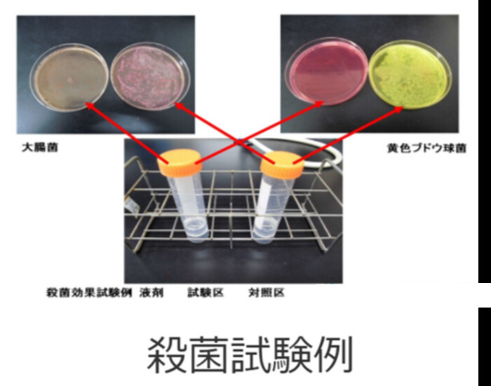 【殺菌試験】菌、ウイルスを用いた試験（殺菌・不活化効果 評価試験）の画像2