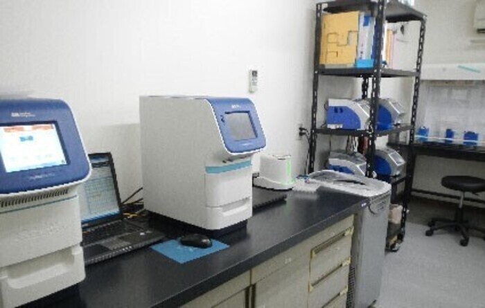 【殺菌試験】菌、ウイルスを用いた試験（殺菌・不活化効果 評価試験）の画像3