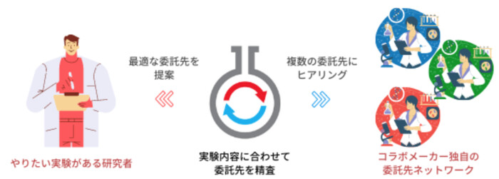 製品開発担当者様向け【安全性試験 委託サービス】の画像1