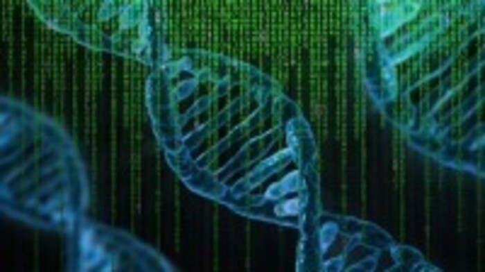 遺伝子発現解析の画像1