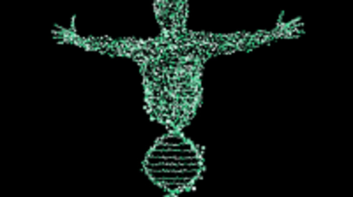 全ゲノムシーケンス（HiSeq）の画像1