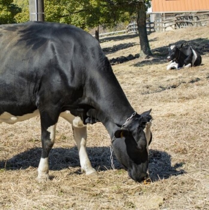 【鳥インフルエンザ H5N1 も対応】家畜伝染病等のウイルス不活化試験の画像2