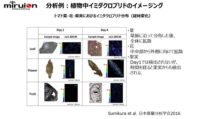 植物、農薬等の研究に使える！植物、昆虫中の農薬等各種成分分布可視化サービスの画像2