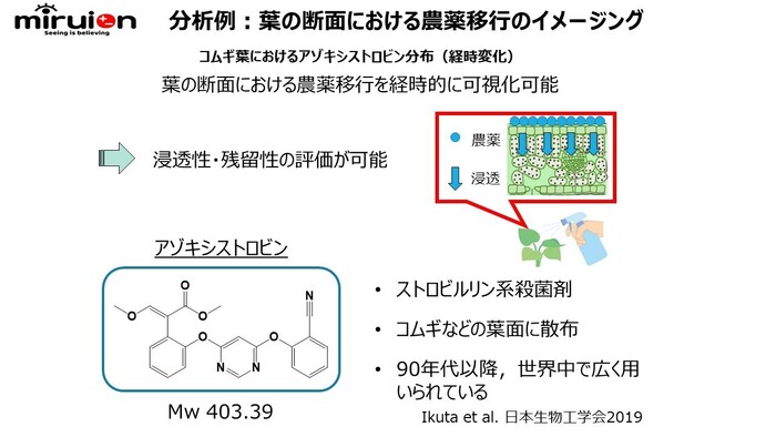 植物、農薬等の研究に使える！植物、昆虫中の農薬等各種成分分布可視化サービスの画像3