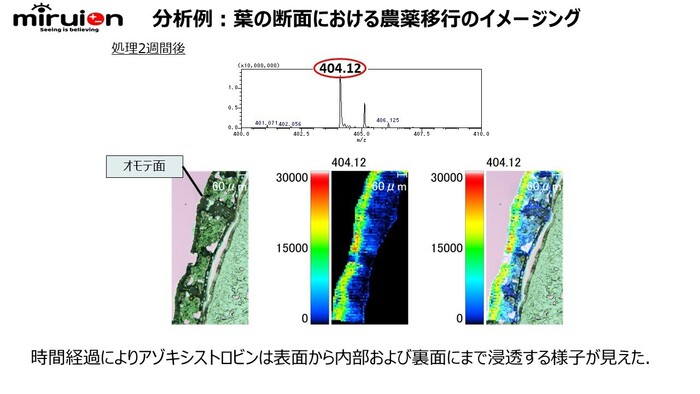 植物、農薬等の研究に使える！植物、昆虫中の農薬等各種成分分布可視化サービスの画像5