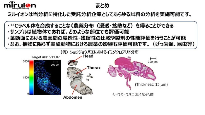 植物、農薬等の研究に使える！植物、昆虫中の農薬等各種成分分布可視化サービスの画像6