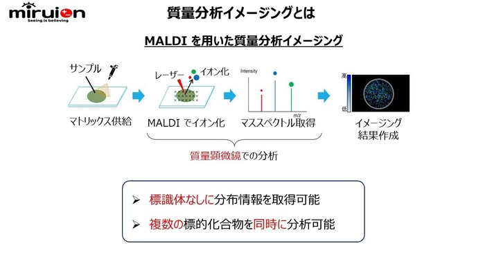 植物、農薬等の研究に使える！植物、昆虫中の農薬等各種成分分布可視化サービスの画像7