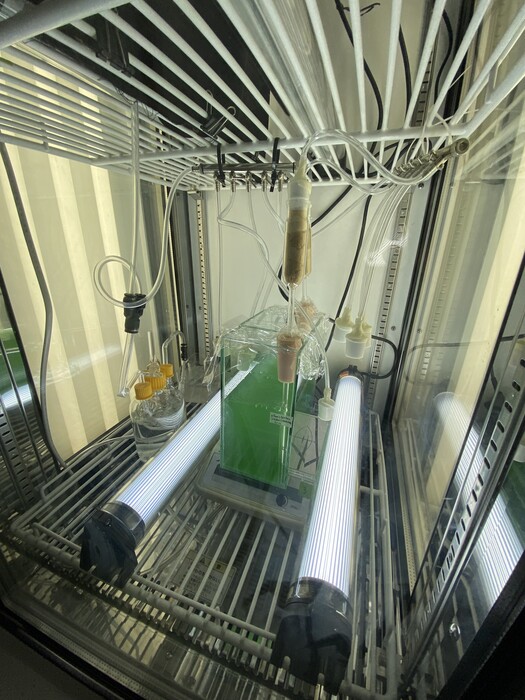 藻類培養系の構築の画像1