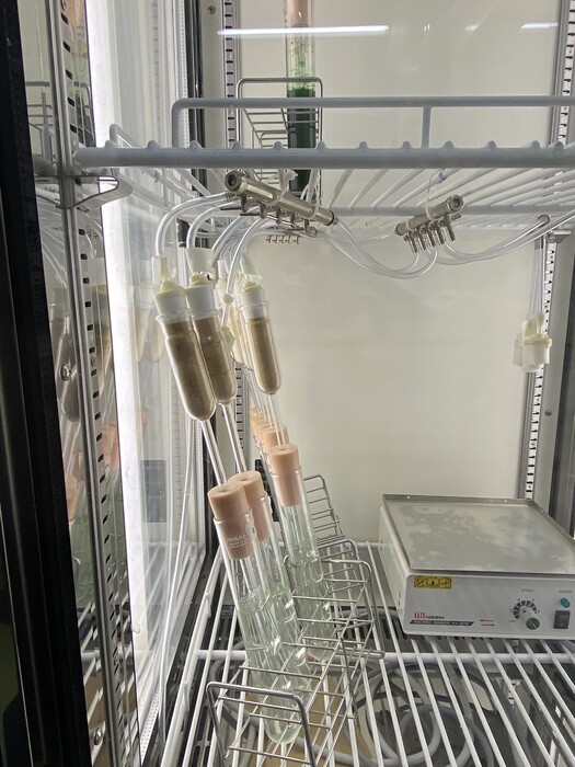 藻類培養系の構築の画像2