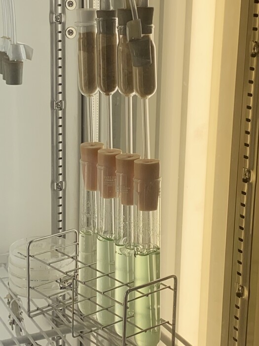 藻類培養系の構築の画像3