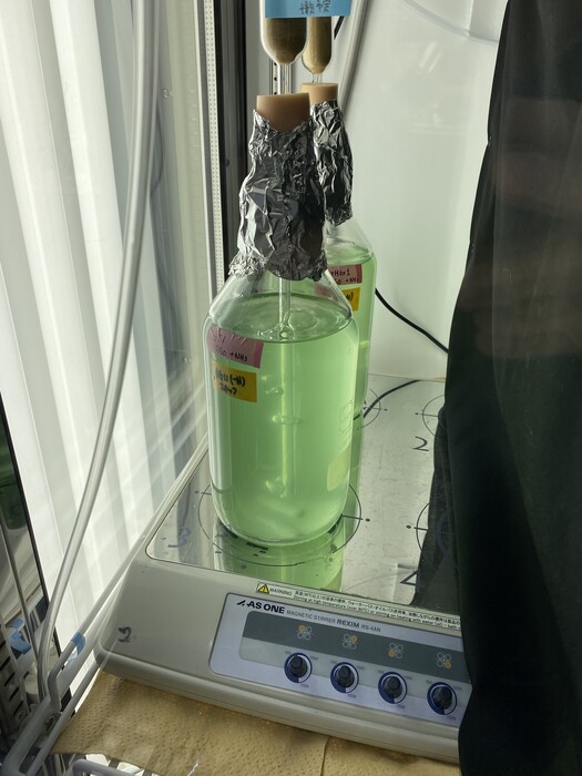 藻類培地の作製の画像4