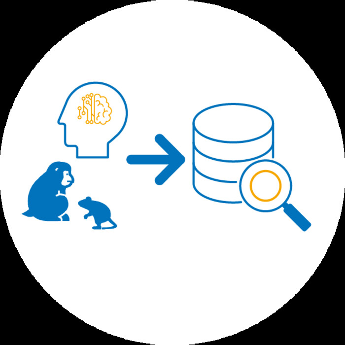 脳画像/脳波解析受託【現役神経科学者(M.D., Ph.D.)などが対応！/オンラインでご依頼いただけます】の画像1
