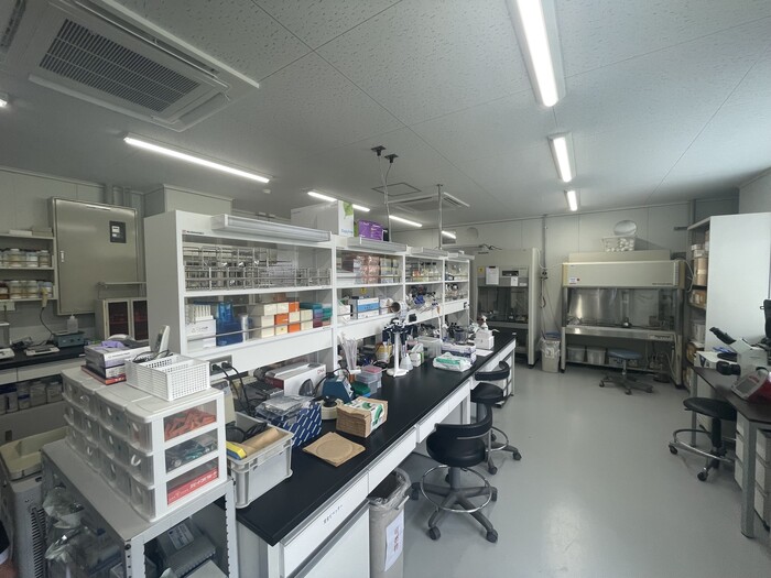 レンタルラボP2【大阪】BSL2の細胞培養から分子生物学実験の画像1