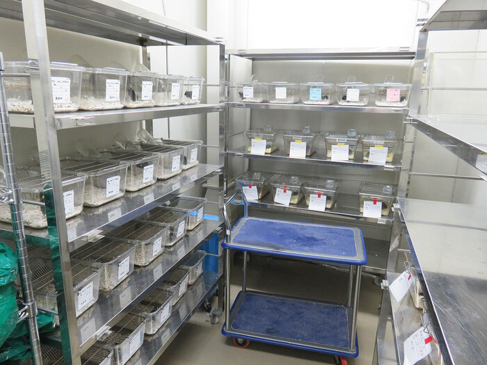 【山梨】SPFのP1A実験室/動物実験ができる大学のラボ（産学連携先）の画像1