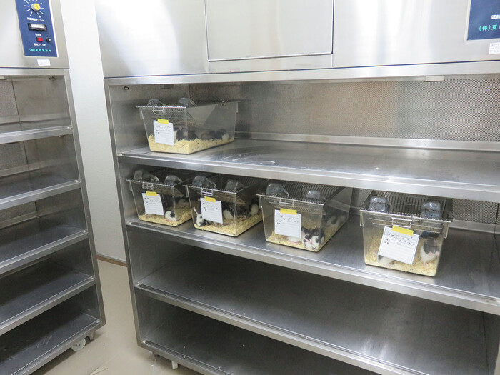 【山梨】SPFのP1A実験室/動物実験ができる大学のラボ（産学連携先）の画像2