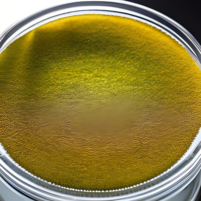 試験室での除菌・抗菌製品の性能評価(細菌・カビ・ウイルス)の画像1