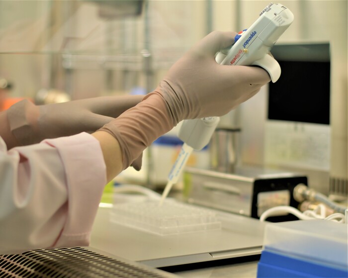 発現細胞を用いたトランスポーター評価試験の画像1