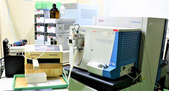 In vivo 薬物動態試験（代謝試験）の画像1