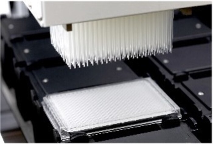 医薬品等の候補となる化合物スクリーニングの画像1