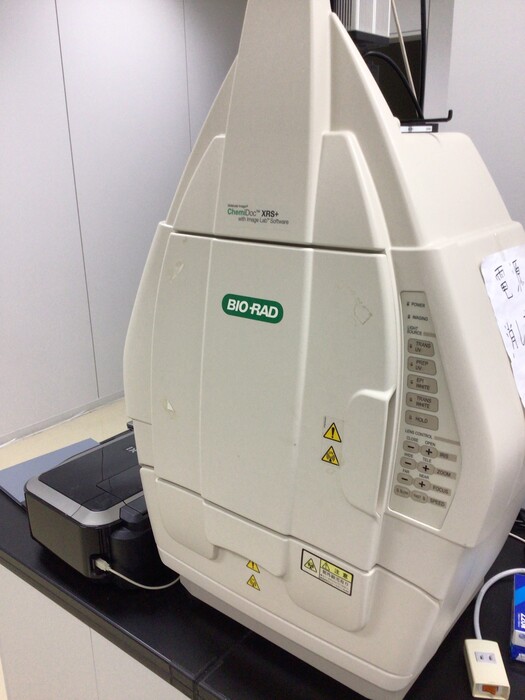 【大阪】P1/BSL1遺伝子組み換え可能な大学のラボ（産学連携先）の画像9