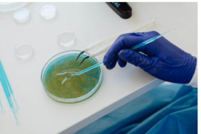 エクソソーム表面マーカーに対するモノクローナル抗体作製の画像1