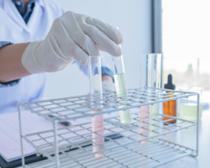 ELISA測定系の構築の画像1