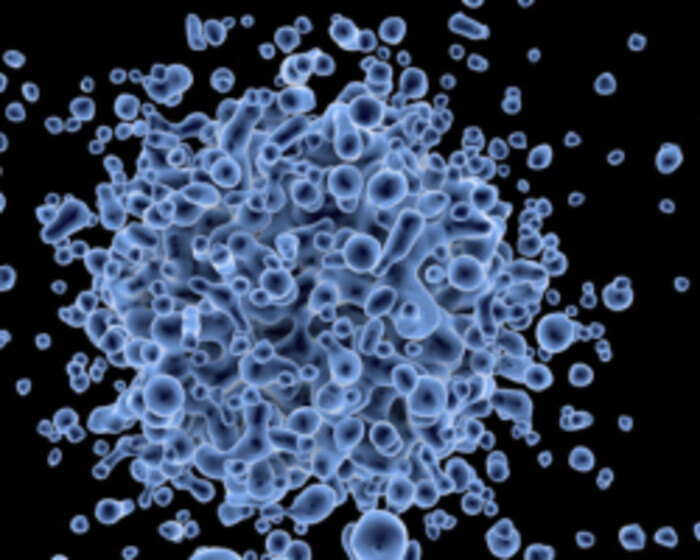 ELISA測定の画像1