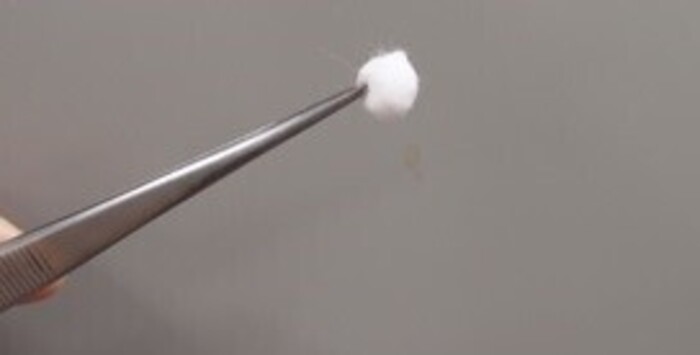 ラットを用いたコットンペレット法による抗炎症作用評価試験の画像1