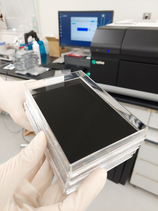 血中自己抗体の網羅的な受託解析サービスの画像1