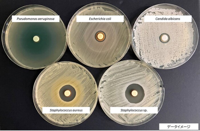 化粧品や原料の抗菌性能、殺菌性能評価の画像1