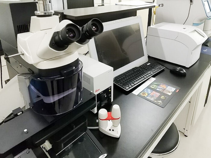 顕微鏡下で必要な細胞を回収/レーザーマイクロダイセクションの画像1