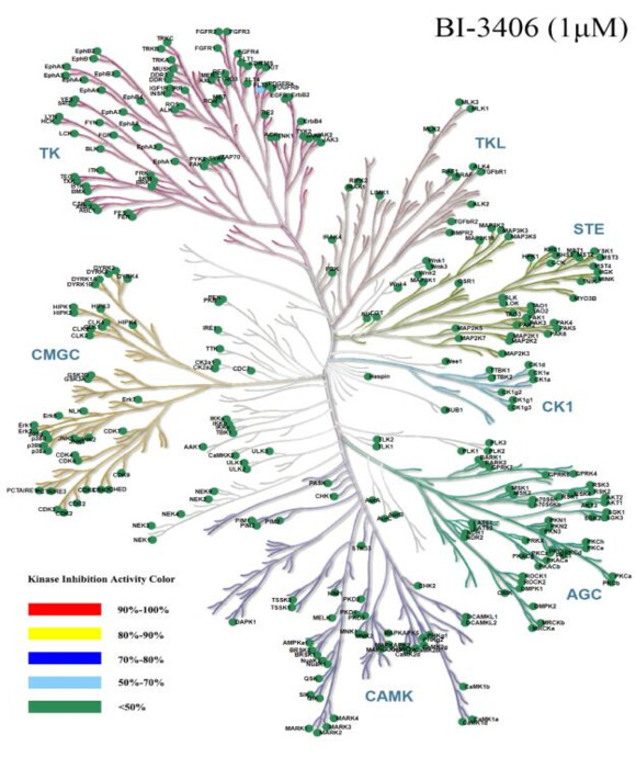 キナーゼアッセイの画像1